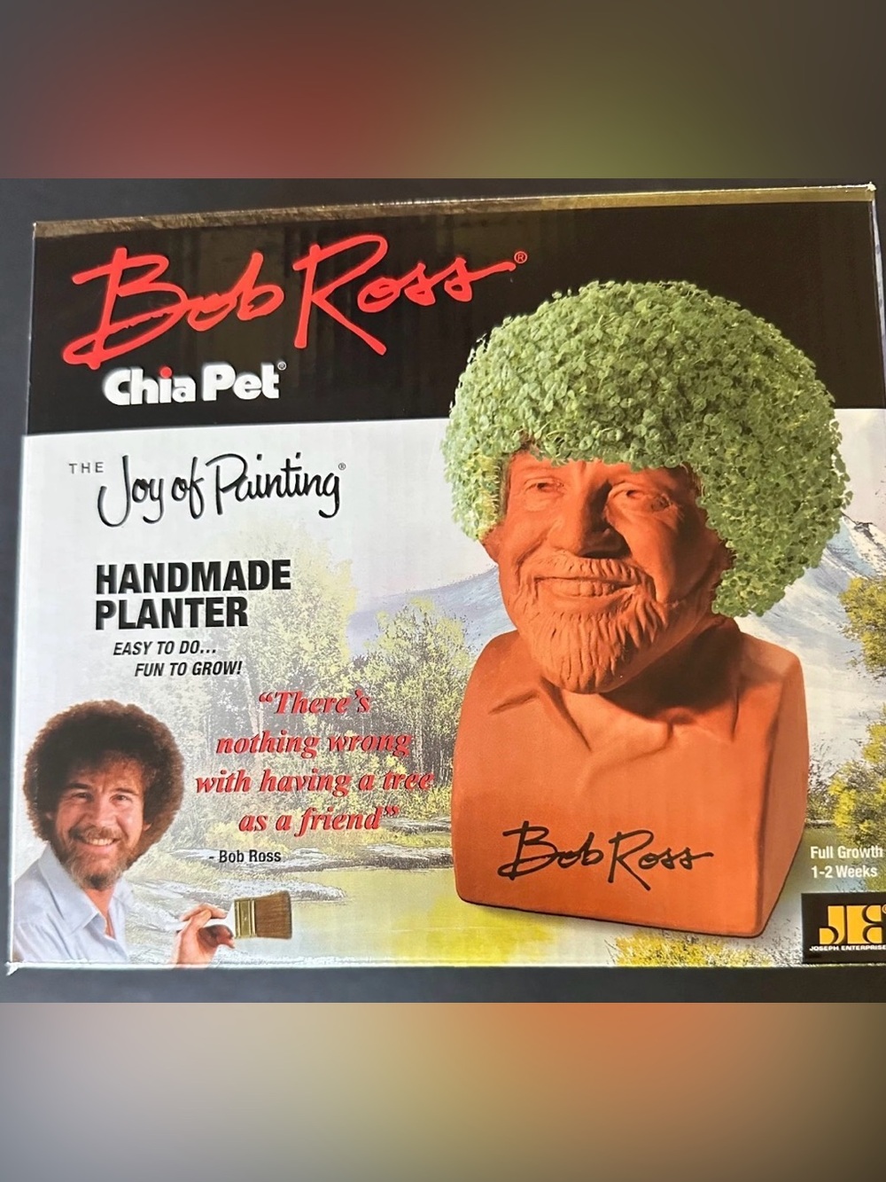 Bob Ross Chia Pet Head Terracotta Planter Green Hair New In Box